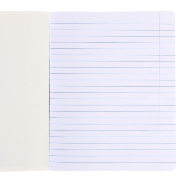 Набор тетрадей 10 штук, 24 листа, 1 сентября, в линейку, тиснение, обложка мелованный картон, Минни Маус и Единорог