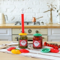 Набор для консервации и хранения продуктов вакуумный &laquo;Вакс 82Б&raquo;: насос, 9 крышек