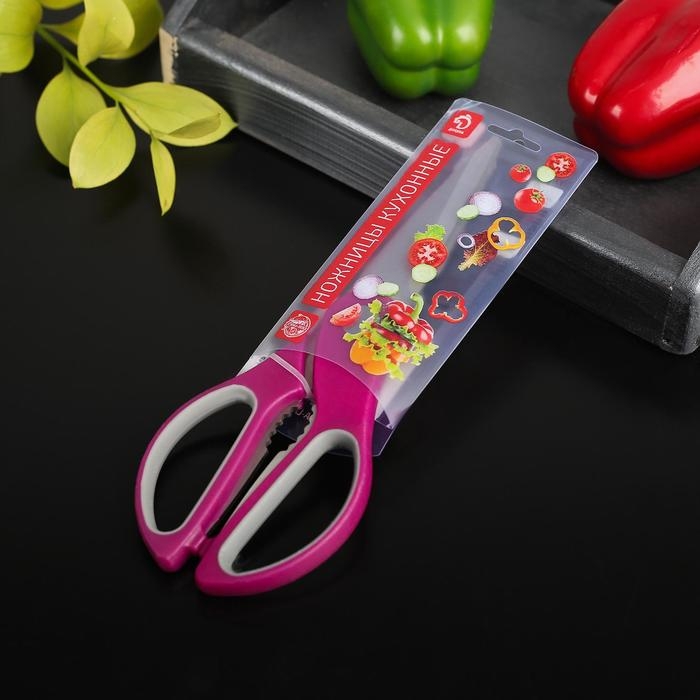 Ножницы кухонные Доляна &laquo;Генри&raquo;, 23 см, цвет МИКС