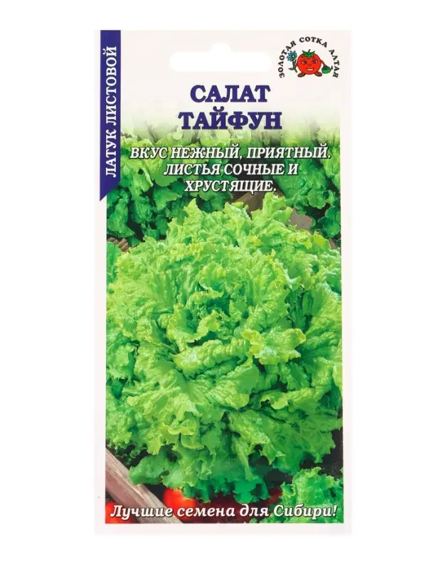 Семена Салат Тайфун /Сотка/ 0,5г/ среднесп. листов. зелен. h-20см d-27см/*1500