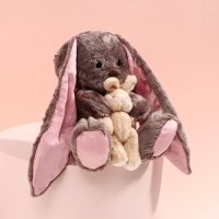 Мягкая игрушка &laquo;Li и Didi&raquo;, заяц, 25 см