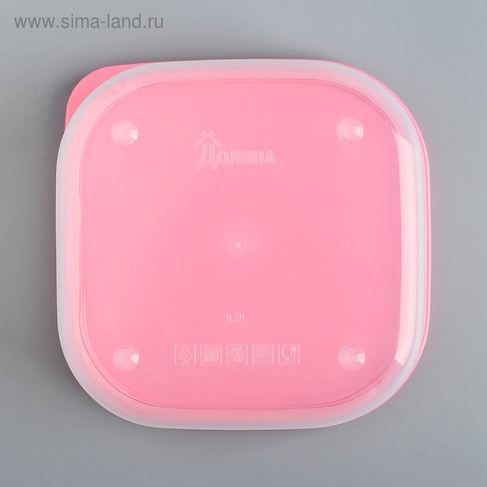 Ланч - бокс квадратный &laquo;Фламинго&raquo;, 700 мл