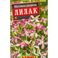 Семена цветов Маттиола двурогая Лилак , Ц/П,0,5 г