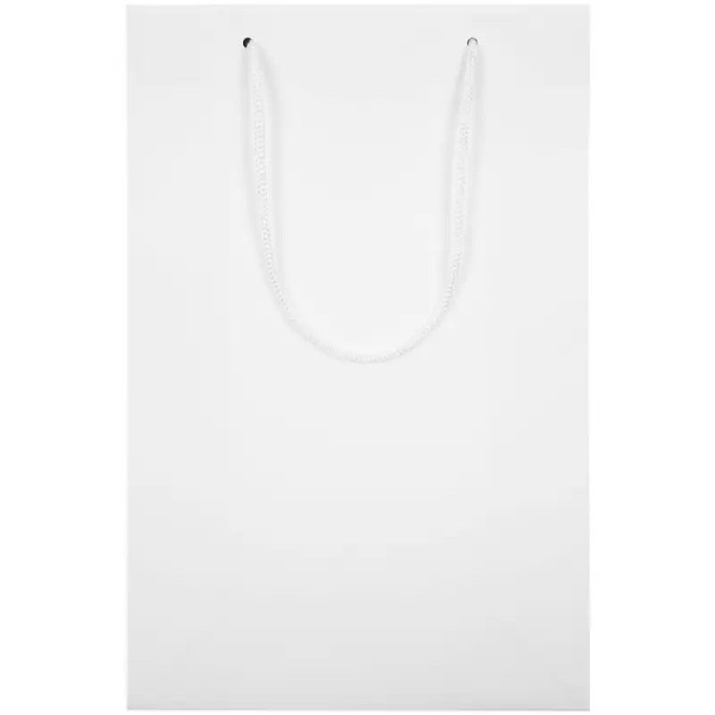 Пакет бумажный Waski M, белый