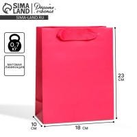 Пакет подарочный ламинированный, упаковка, &laquo;Фуксия&raquo;, MS 18 х 23 х 10 см