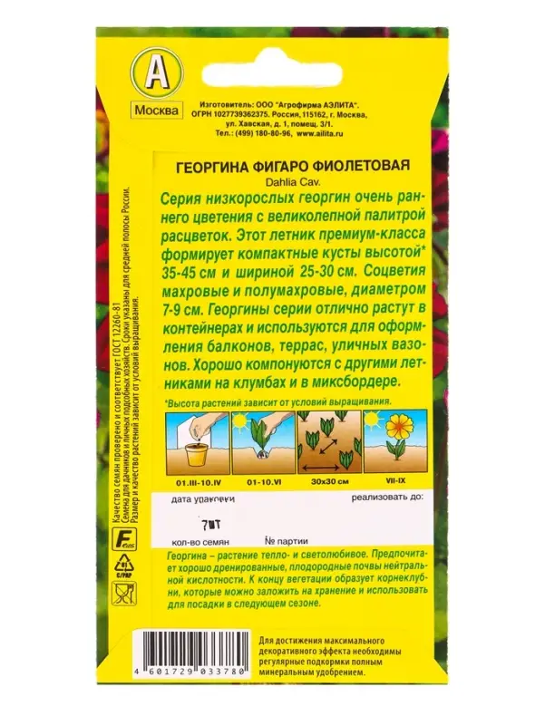 Семена цветов Георгина Фигаро махровая фиолетовая , Ц/П,7 шт.