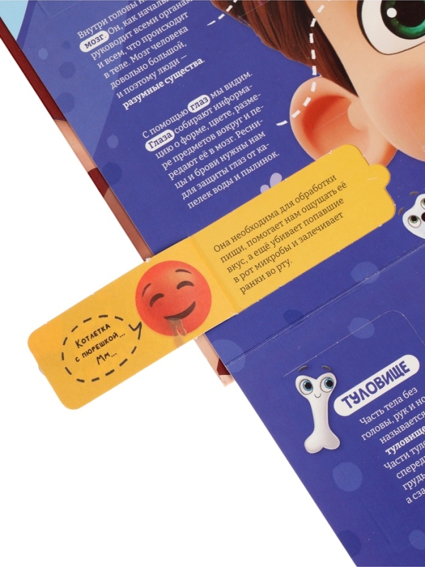 Книга - раскладушка детская &laquo;Как устроено моё тело&raquo;, 40 окошек