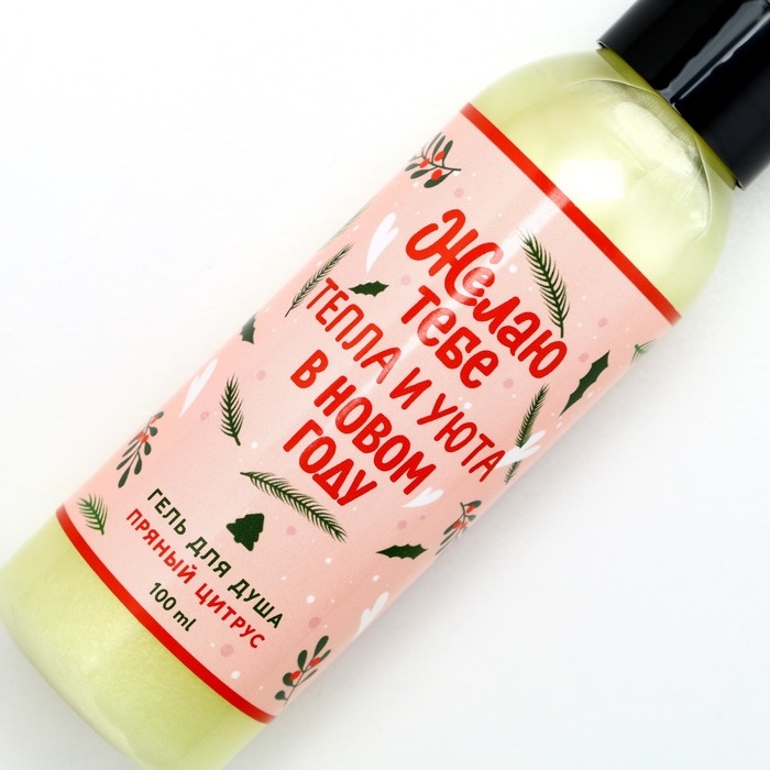 Гель для душа &laquo;Тепла и уюта в Новом Году!&raquo;, 100 мл, аромат пряного цитруса, ЧИСТОЕ СЧАСТЬЕ