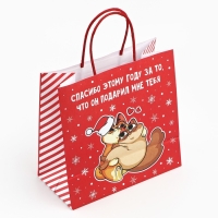 Пакет подарочный новогодний &laquo;Спасибо этому году&raquo;, 22 х 22 х 11 см