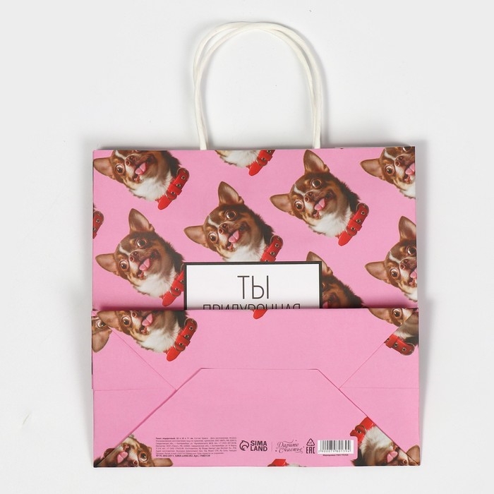 Пакет подарочный, упаковка, &laquo;Киса&raquo;, 22 х 22 х 11 см