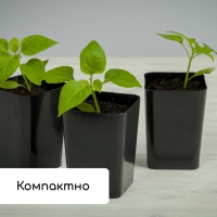 Набор для рассады: стаканы по 500 мл (10 шт.), поддон 40 &times; 19,5 см, МИКС, Greengo