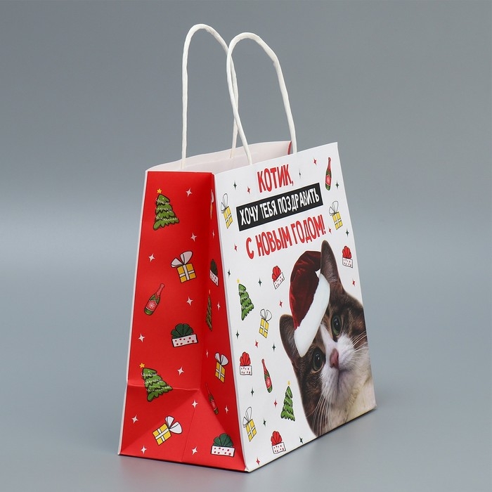 Пакет подарочный новогодний крафтовый &laquo;Котик&raquo;, 22 х 22 х 11 см, Новый год