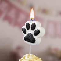 Свеча в торт на шпажке "Лапка - сквиш", бело-черная