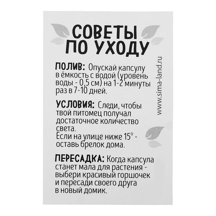 Набор для опытов &laquo;Живой брелок&raquo;, мини-сад, вырасти сам