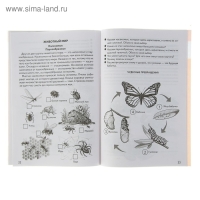 Рабочая тетрадь для детей 5-6 лет &laquo;Знакомимся с окружающим миром&raquo;, Бортникова Е.