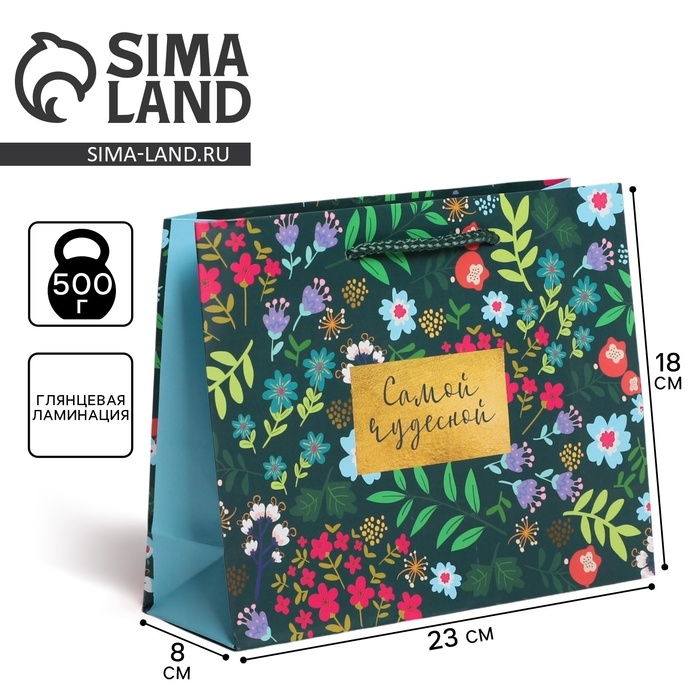 Пакет подарочный ламинированный, упаковка, &laquo;Present for you&raquo;, MS 23 х 18 х 8 см