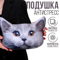 Антистресс-подушка, кот &laquo;Британец&raquo;