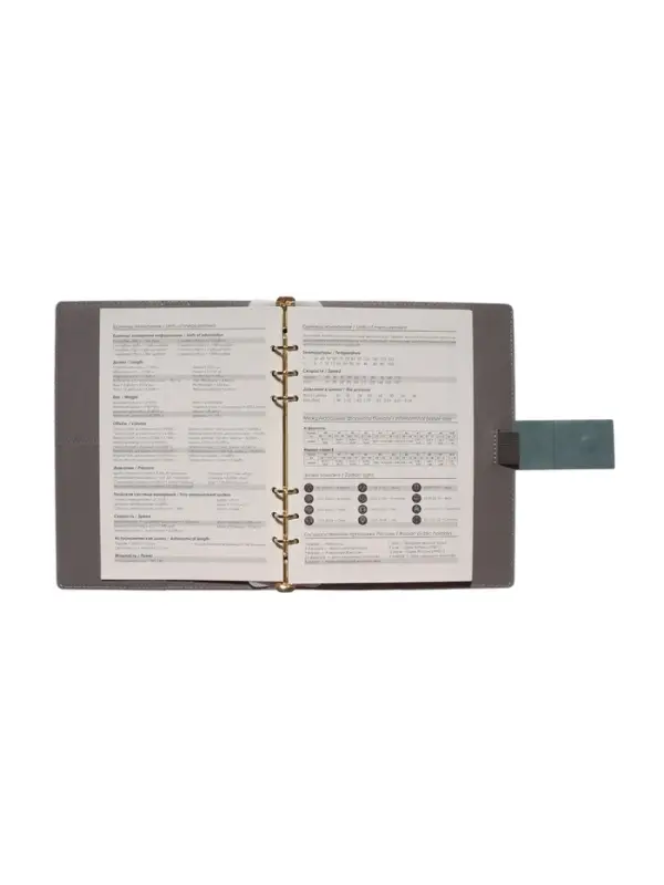 Органайзер на кольцах, А5, с хлястиком, 80л, линия, к/зам, Зеленый