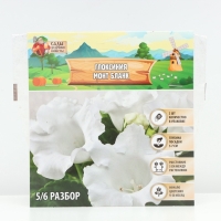 Глоксиния &laquo;Монт Бланк&raquo;, многолетник, комнатный, луковица в пакете с перфорацией, р-р 5/6, 2 шт.