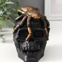 Шкатулка с крышкой &laquo;Череп&raquo;, 10&times;8&times;10 см, чёрная