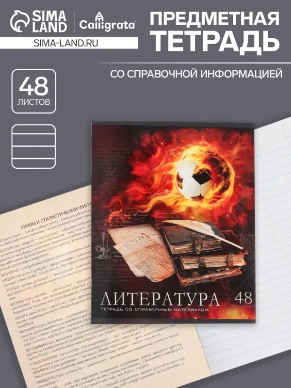 Тетрадь предметная 48 листов в линейку Calligrata, &laquo;Футбол. Литература&raquo;, обложка мелованный картон