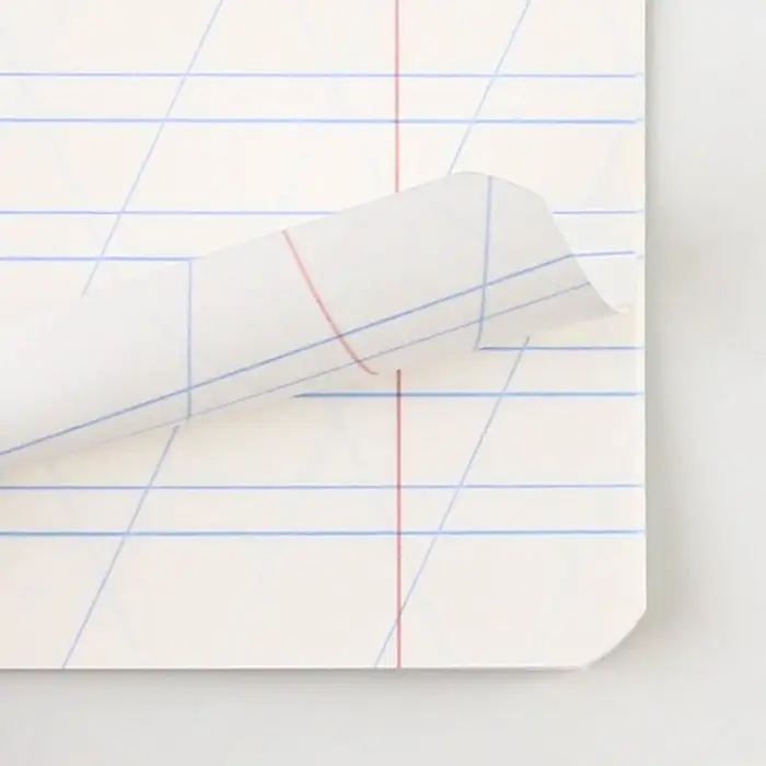 Тетрадь в косую линейку 12 листов, А5, на скрепке, 5 видов, белизна 96%, МИКС