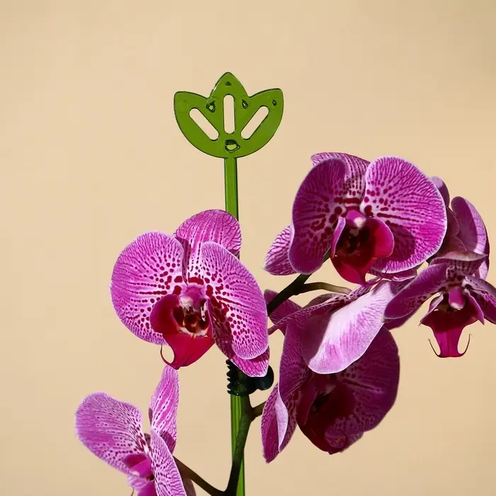 Опора для орхидей, h = 44 см, пластик, зелёная, МИКС