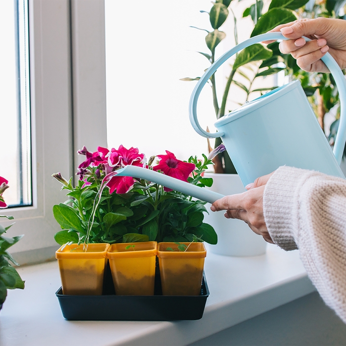 Лейка, 1,2 л, без рассеивателя, голубая, Greengo