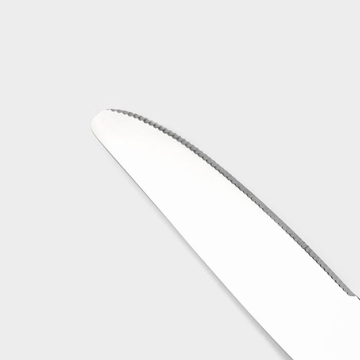 Набор ножей столовых из нержавеющей стали Magistro &laquo;Виконт&raquo;, длина 24 см, 6 шт, цвет серебряный