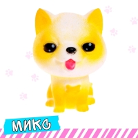 Питомец &laquo;Любимый&raquo;, МИКС