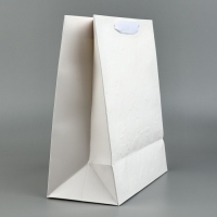 Пакет ламинированный вертикальный Beautiful, ML 23 &times; 27 &times; 11,5 см