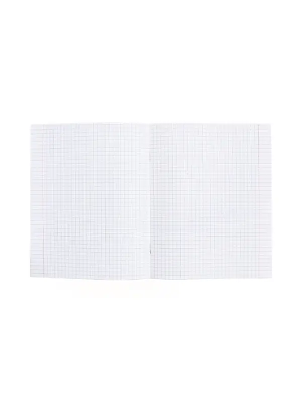 Тетрадь 48 листов в клетку &laquo;Буквица&raquo; Обществознание, белые листы