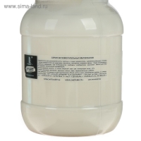 Грунт художественный акриловый прозрачный матовый 500 г, Luxart Start