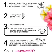 Семена   Петуния "Роза и лимон" F1 крупноцветковая ампельная, смесь окрасок , 10шт