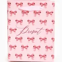 Пакет ламинированный Present, 9 &times; 12 &times; 6,5 см