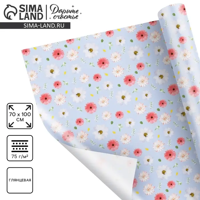 Бумага упаковочная глянцевая &laquo;Ромашки&raquo;, 70 х 100 см