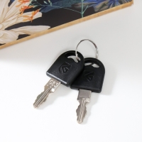 Сейф-книга дерево кожзам "Дикие джунгли" 21х13х5 см