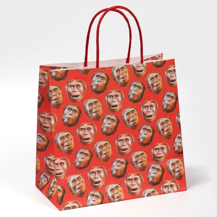 Пакет подарочный, упаковка, &laquo;Обезьяна&raquo;, 22 х 22 х 11 см