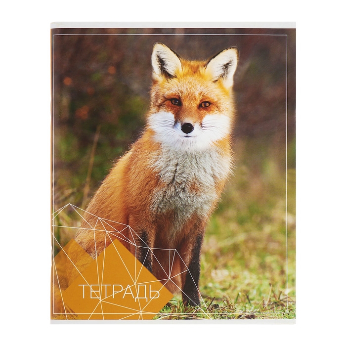 Комплект тетрадей из 4 штук, 96 листов в клетку Calligrata "Животные", обложка мелованный картон, блок №2, белизна 75% (серые листы)