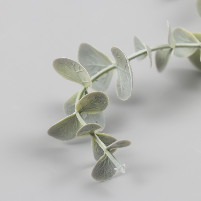 Декор для творчества "Веточка эвкалипта" 28 см