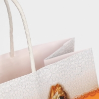 Пакет подарочный, упаковка, &laquo;Крепкому мужику&raquo;, 22 х 22 х 11 см