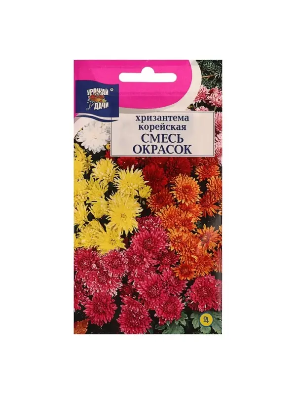Набор семян Хризантема Корейская, низкорослая смесь, 5 шт.