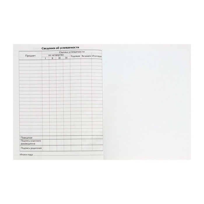 Дневник школьный для 1-11 классов, &laquo;Девочка со скейтом&raquo;, твёрдая обложка 7БЦ, глянцевая ламинация, 40 листов