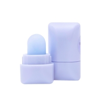 Набор мини-бальзамов для губ &laquo;Чай Пуэр&raquo;, 2 шт