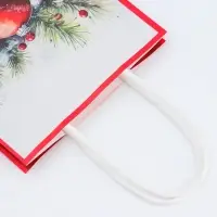 Пакет бумажный подарочный новогодний крафт "Новогодние шары" 15 х 21 х 8 см.