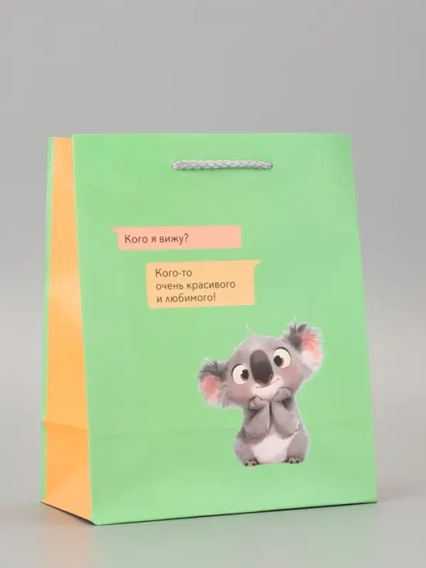 Пакет подарочный ламинированный &laquo;Кого я вижу?&raquo; 18&times;22.3&times;10 см