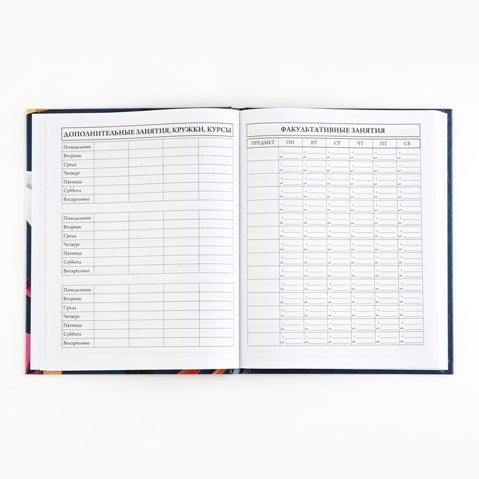 Дневник школьный 5-11 класс, в твердой обложке, 48 л. &laquo;Синий мрамор&raquo;