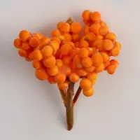 Декор &laquo;Жёлтые ягодки&raquo;, 4&times;7&times;5 см