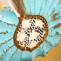 Набор сувенирный "Раковины" дерево (h - 35.30 и 25 см), цв. голубой