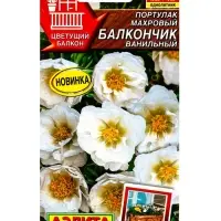 Семена цветов Портулак махровый Балкончик ванильный  Цветущий балкон, Ц/П,0,05 г